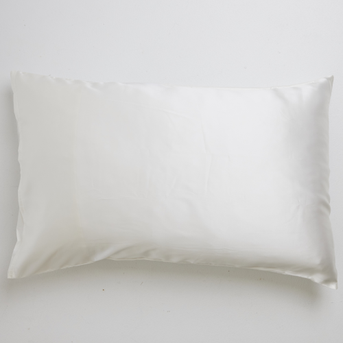 Canningvale BeautySilks Silk Pillowcase Twin Pack