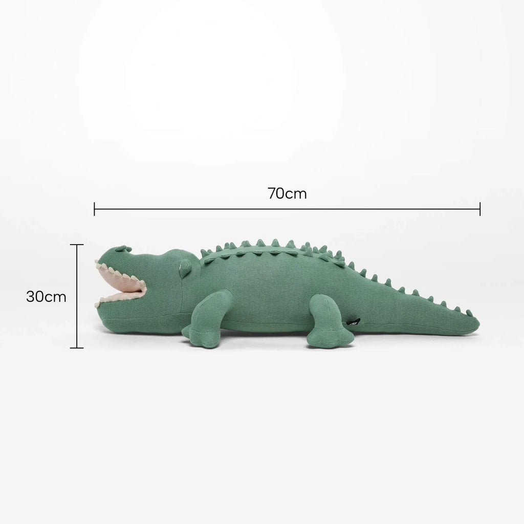 Kids Alligator Soft Toy